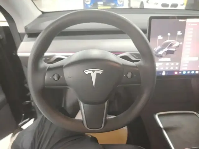 Tesla Model Y — Фото автомобиля 10