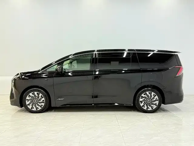 Buick Zhijing Shijia — Фото автомобиля 5