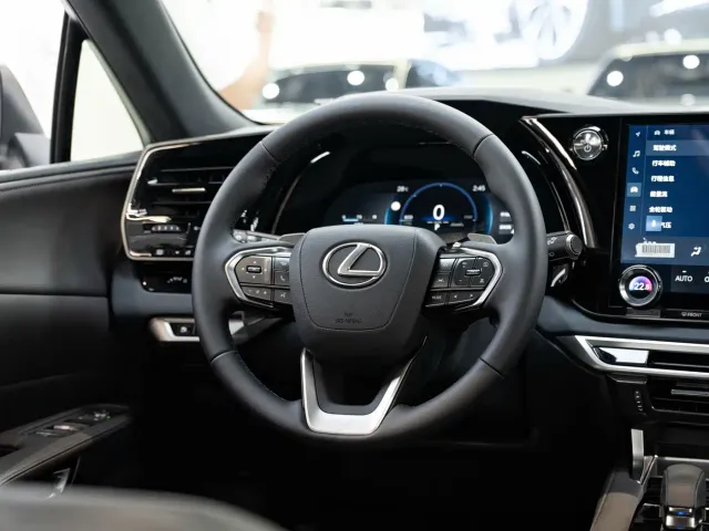 Lexus RX — Фото автомобиля 15