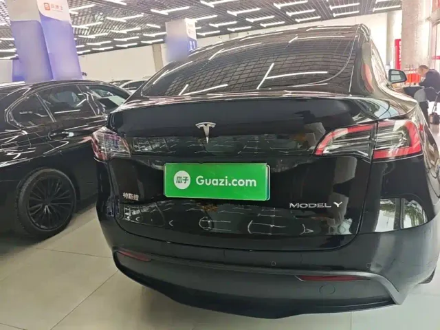 Tesla Model Y — Фото автомобиля 5