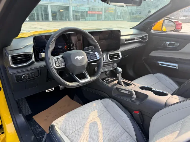 Ford Mustang — Фото автомобиля 17