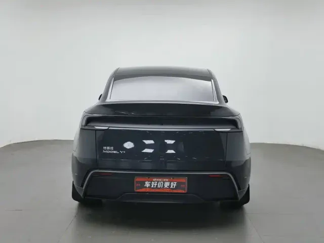 Tesla Model Y — Фото автомобиля 4