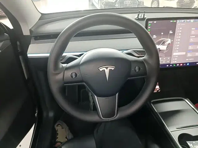 Tesla Model Y — Фото автомобиля 10