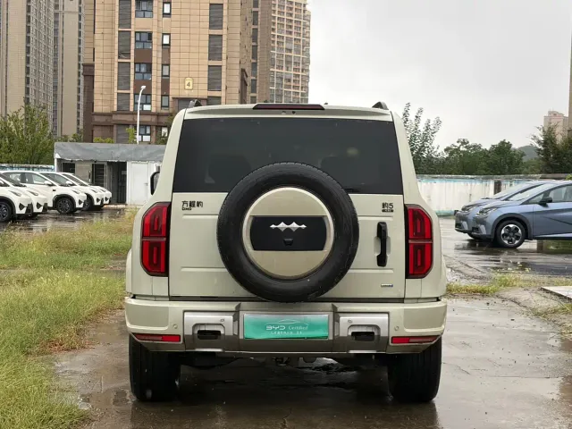 BYD FangChengBao Leopard 5 — Фото автомобиля 5