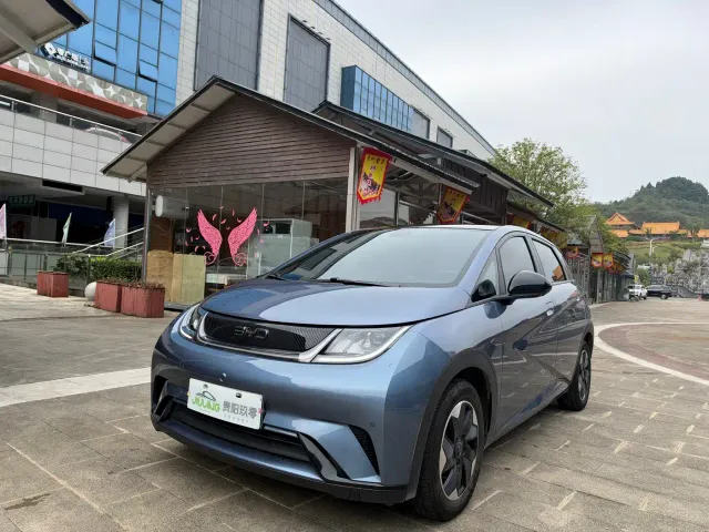 BYD Dolphin — Фото автомобиля 2