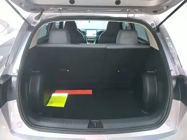 Geely Starry Wish — Фото автомобиля 18