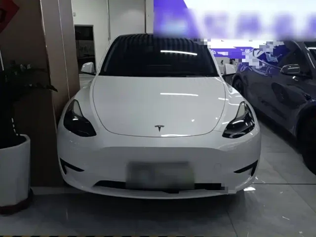 Tesla Model Y — Фото автомобиля 2