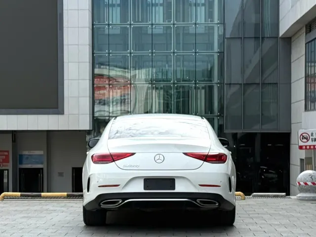 Mercedes-Benz CLS-Class — Фото автомобиля 10