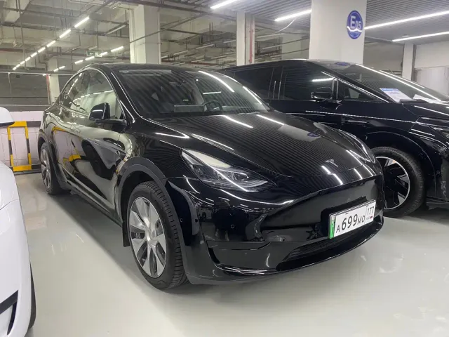 Tesla Model Y — Фото автомобиля 3