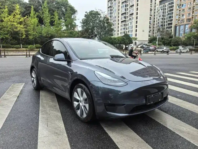 Tesla Model Y — Фото автомобиля 2