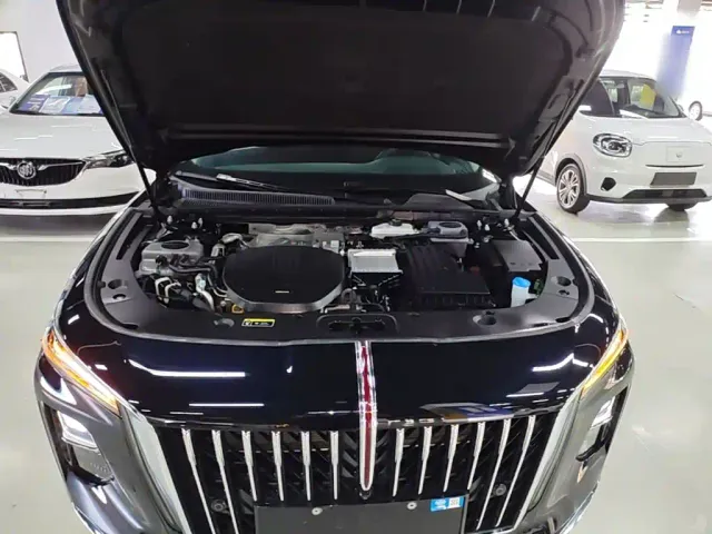 Hongqi H5 PHEV — Фото автомобиля 15