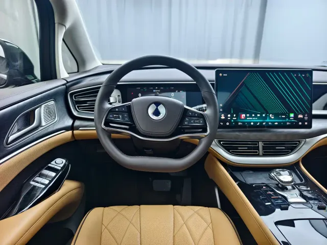 Denza D9 — Фото автомобиля 15