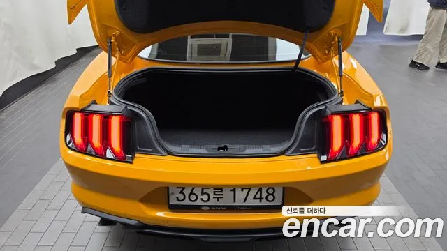 Ford Mustang — Фото автомобиля 20