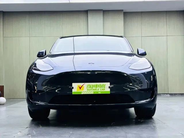Tesla Model Y — Фото автомобиля 2