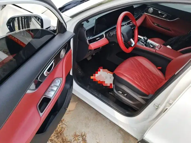 Chery Tiggo 7 PLUS — Фото автомобиля 15