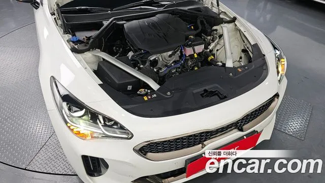 Kia Stinger Stinger Meister 2.5 AWD Masters Acro Edition — Фото автомобиля 6