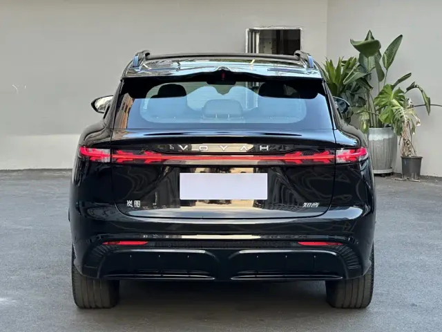 Voyah Auto Voyah Zhiyin 2024 Long Range Super Charging Edition — Фото автомобиля 8