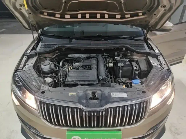 Skoda Karoq — Фото автомобиля 19