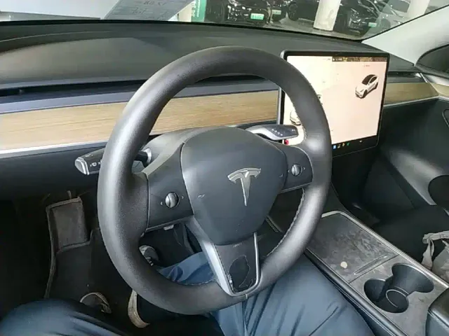 Tesla Model Y — Фото автомобиля 9