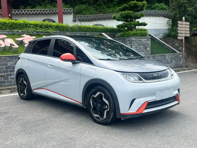 BYD Dolphin — Фото автомобиля 3