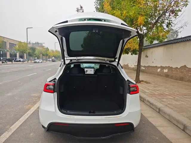 Tesla Model Y — Фото автомобиля 18