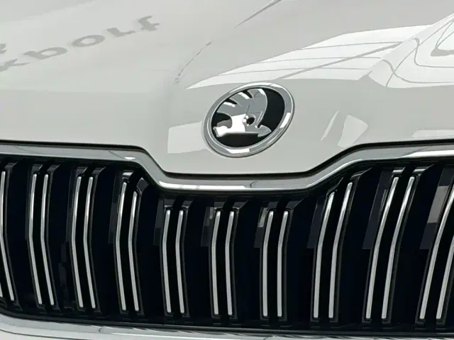 Skoda Kamiq — Фото автомобиля 11