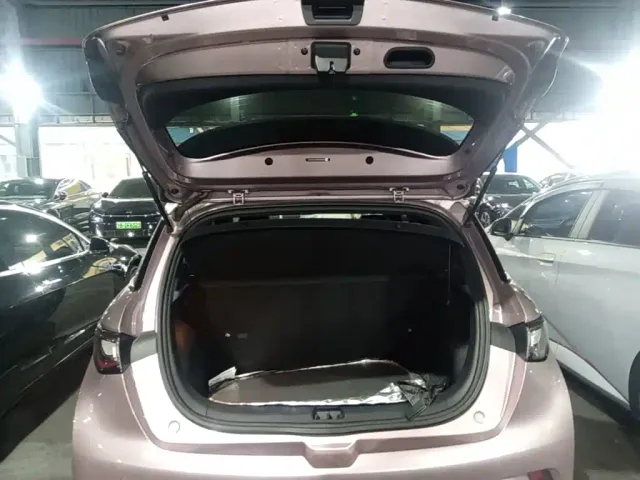 BYD Dolphin — Фото автомобиля 18