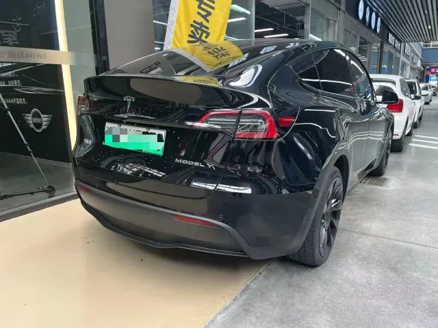 Tesla Model Y — Фото автомобиля 10