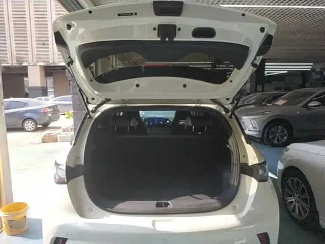 BYD Dolphin — Фото автомобиля 18