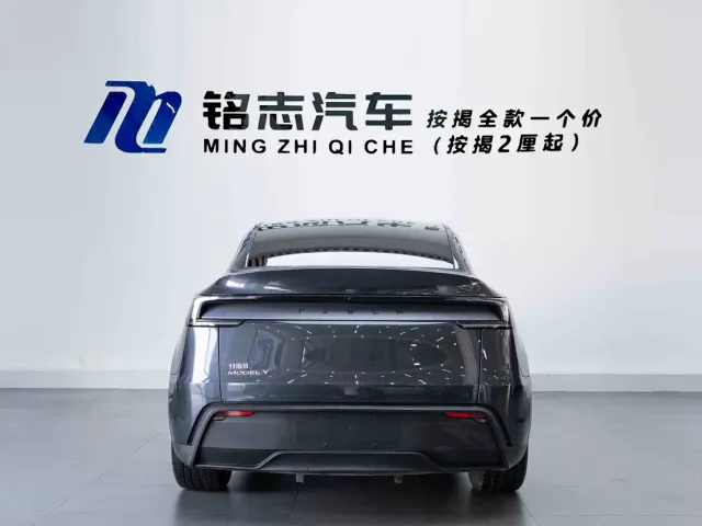 Tesla Model Y — Фото автомобиля 7
