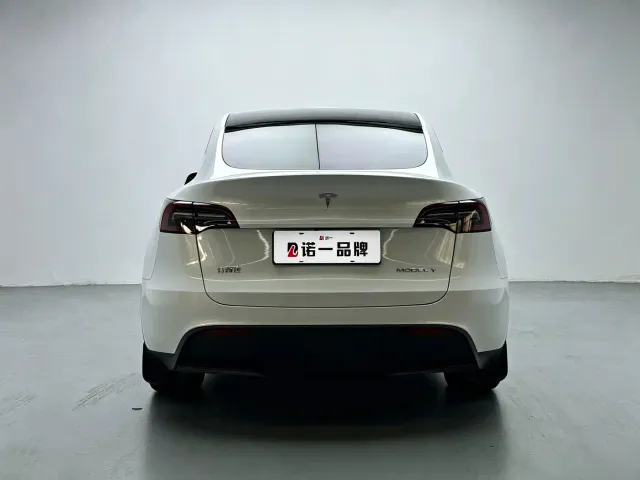 Tesla Model Y — Фото автомобиля 4
