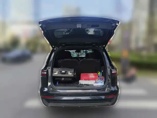 Li Auto Li ONE 2021 Extended Range 6-Seater — Фото автомобиля 5