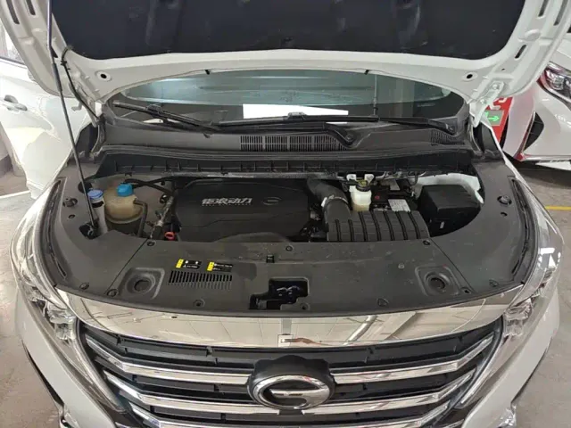 GAC Trumpchi Trumpchi M8 2024 Leadershow Series 390T Luxury Edition — Фото автомобиля 19