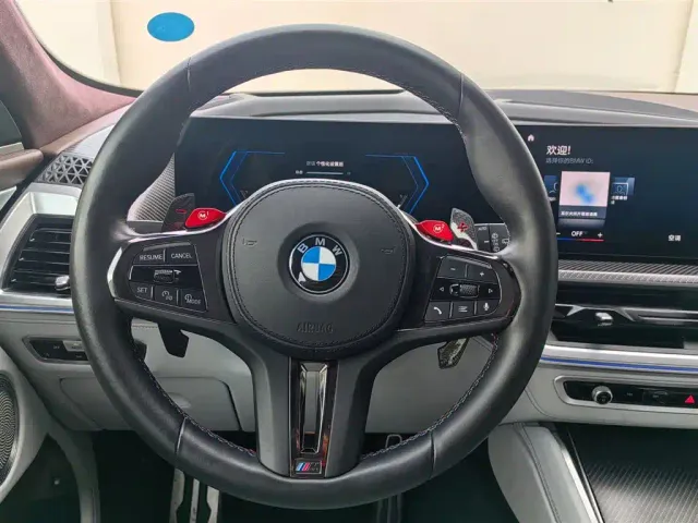 BMW XM — Фото автомобиля 14