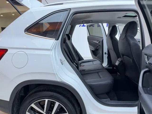 Skoda Kamiq — Фото автомобиля 19