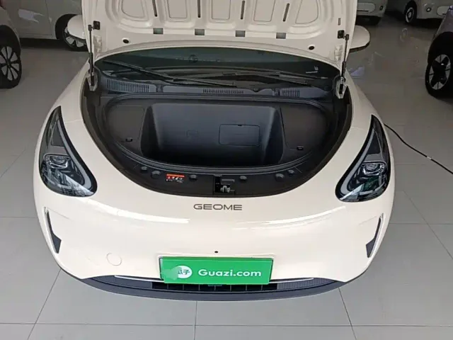 Geely Starry Wish — Фото автомобиля 19