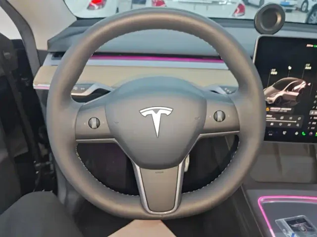 Tesla Model Y — Фото автомобиля 10