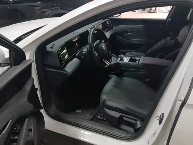 BYD Qin L — Фото автомобиля 15