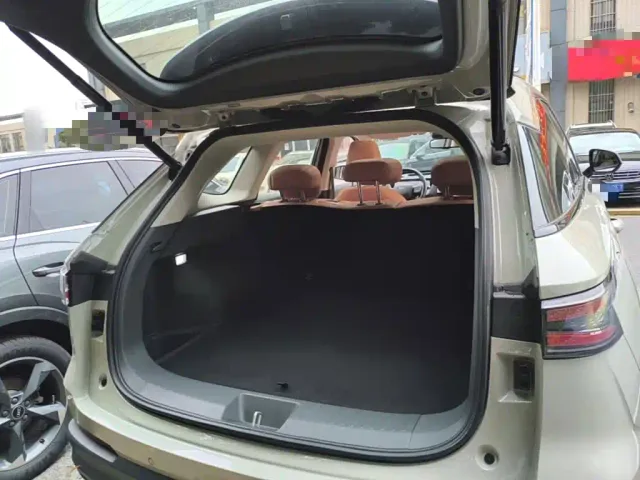 Haval Xiaolong MAX — Фото автомобиля 18