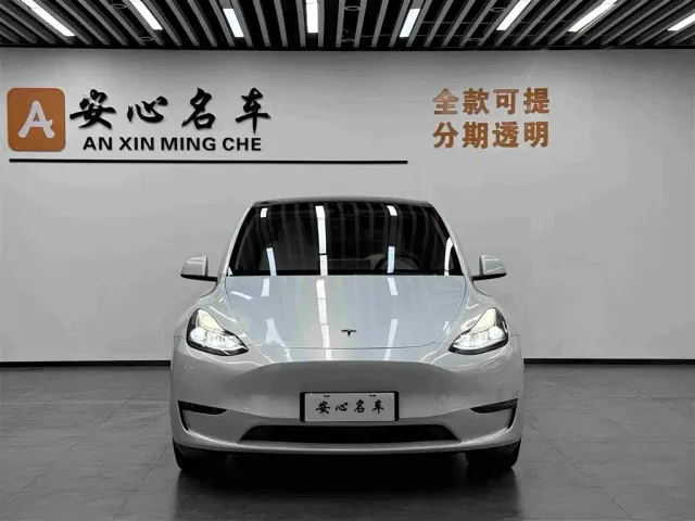 Tesla Model Y — Фото автомобиля 2