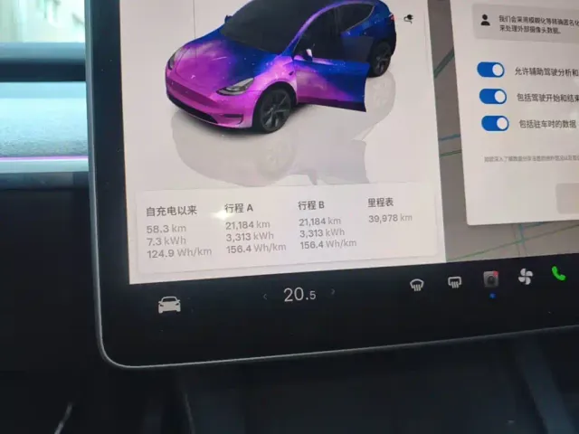Tesla Model Y — Фото автомобиля 11