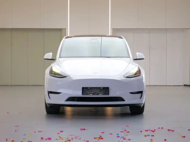 Tesla Model Y — Фото автомобиля 2