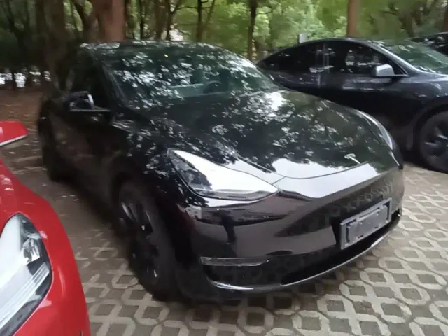 Tesla Model Y — Фото автомобиля 3