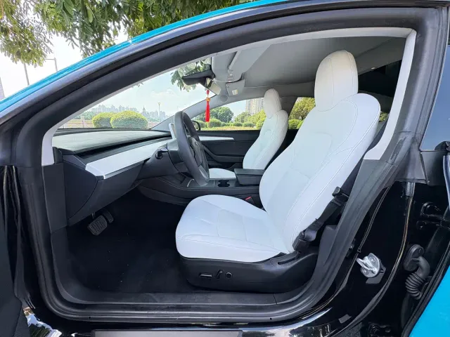 Tesla Model 3 — Фото автомобиля 4