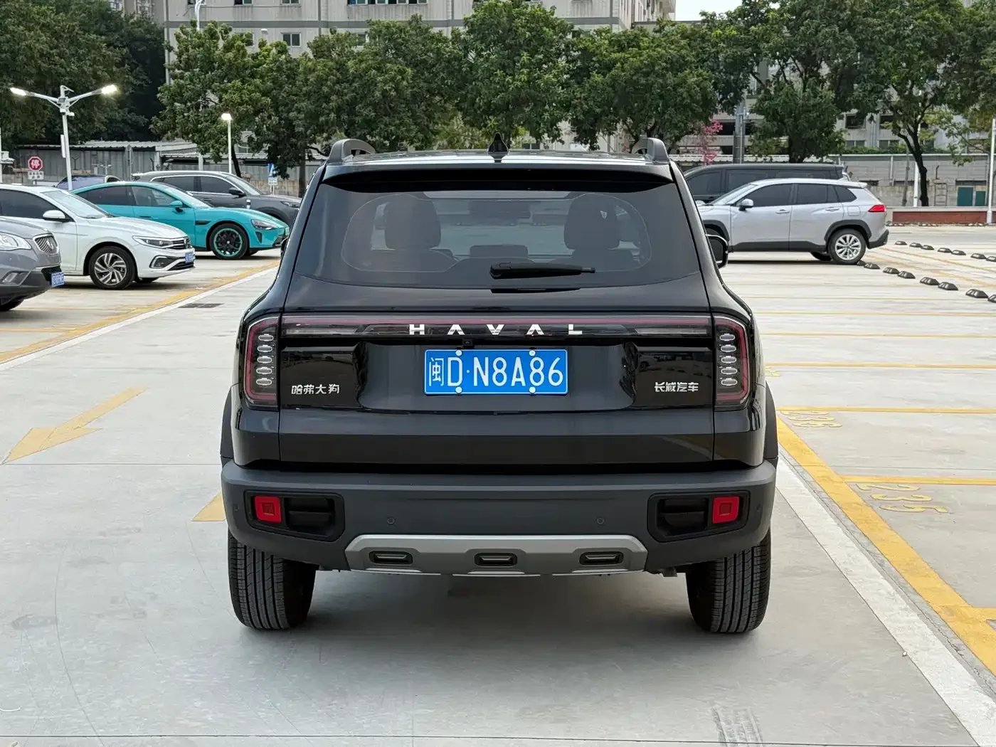 Haval Haval Big Dog 2024 1.5T DCT Border Collie Edition — Фото автомобиля 5