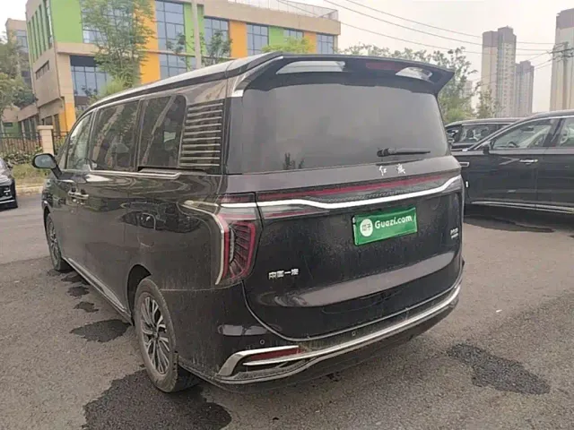 Hongqi HQ9 PHEV — Фото автомобиля 4