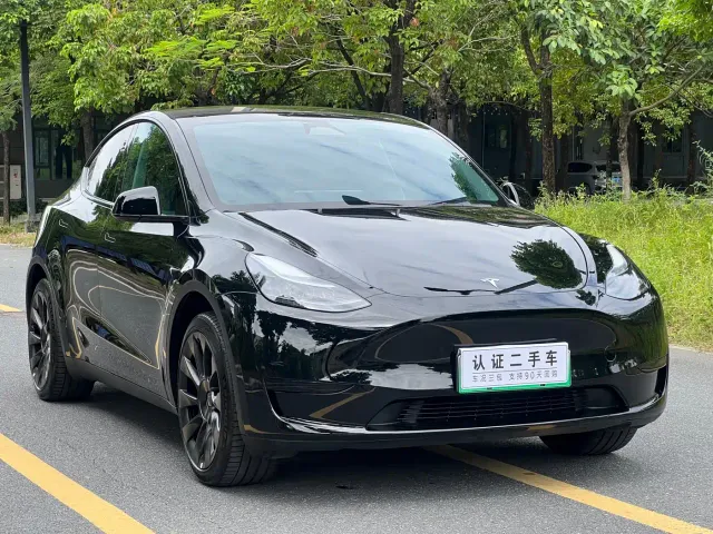Tesla Model Y — Фото автомобиля 3