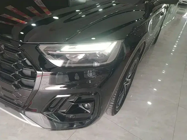 Audi Q5L — Фото автомобиля 23