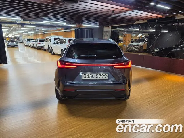Lexus NX 2nd Gen — Фото автомобиля 4