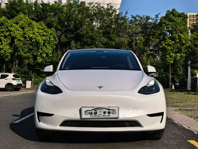Tesla Model Y — Фото автомобиля 2